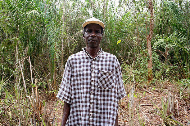 Businessman Admits a Talking Bird Saved Him From Bankruptcy