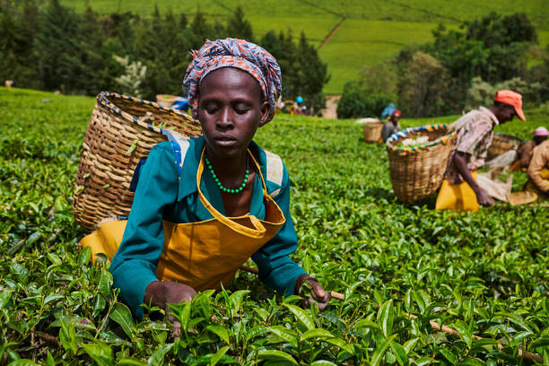 Jinsi Nilivyolinda Mtoto Wangu Wakati wa Likizo Bila Wasiwasi wa Marafiki Wabaya na Tabia Mbaya