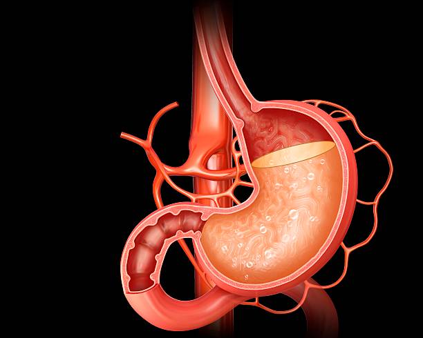 I Lived With Years of Acidic Stomach, Gas, and Painful Bloating Until One Solution Finally Gave Me a Calm, Flat Belly