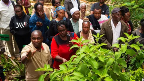 Thika-based pastor urges congregants to embrace herbal doctors’ solutions