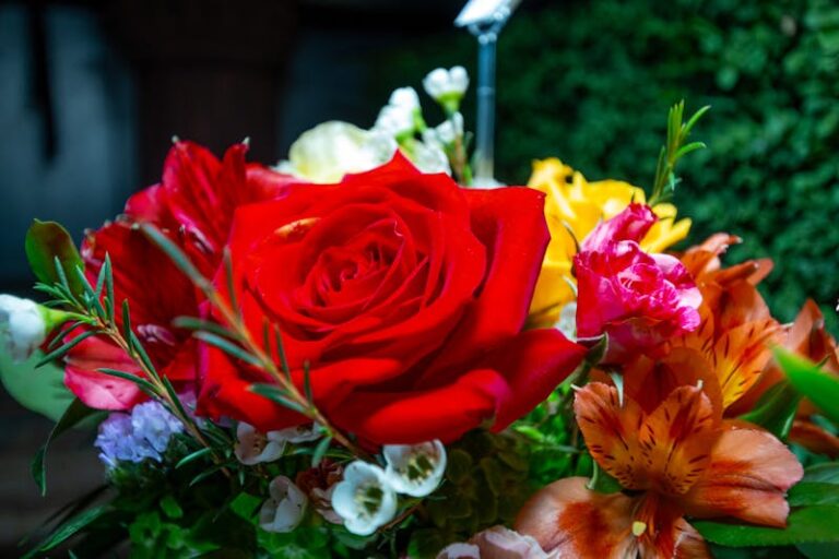 My father in law hated me to a point he wanted me dead