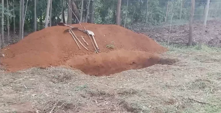 Land Dispute in Kisii Turns Ugly After The Step Mother Who Fought The Children Dies,  How Silent Revenge Unfolded