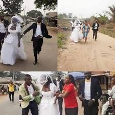 Wedding disrupted by swarm of bees, guests flee screaming loudly!