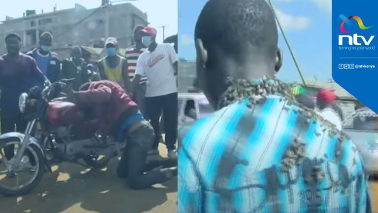 Thieves steal from businessman, bees attack, chaos erupts in market!