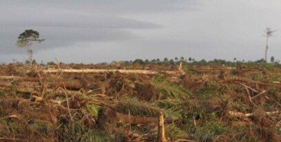 My Land Title Was Challenged by Relatives Until I Found a Way to Prove Ownership Clearly