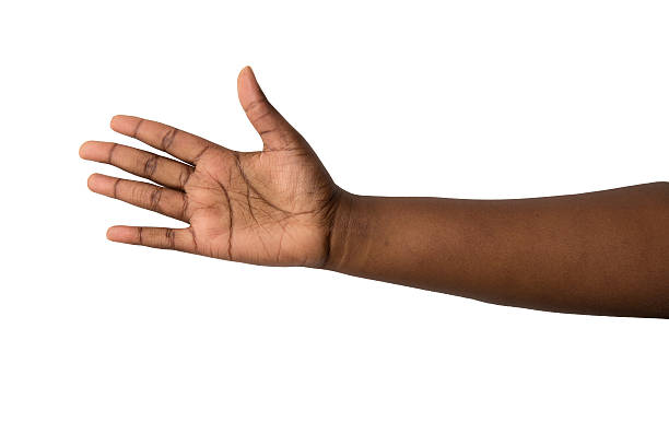 Palm Reading Session Reveals Exact Cause of Woman’s Repeated Setbacks Within Minutes
