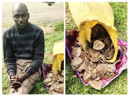 Husband caught sneaking out of neighbour’s window at dawn as wife follows footprints and entire trading centre wakes up to drama